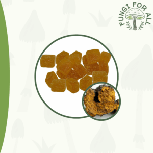Vegan Lions Mane Gummies, 500mg