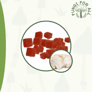 Vegan Chaga Gummies, 500mg