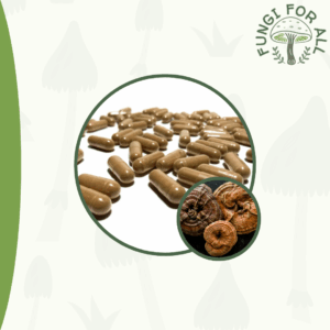 Reishi & Turkey Tail Vegan Capsules, 400mg